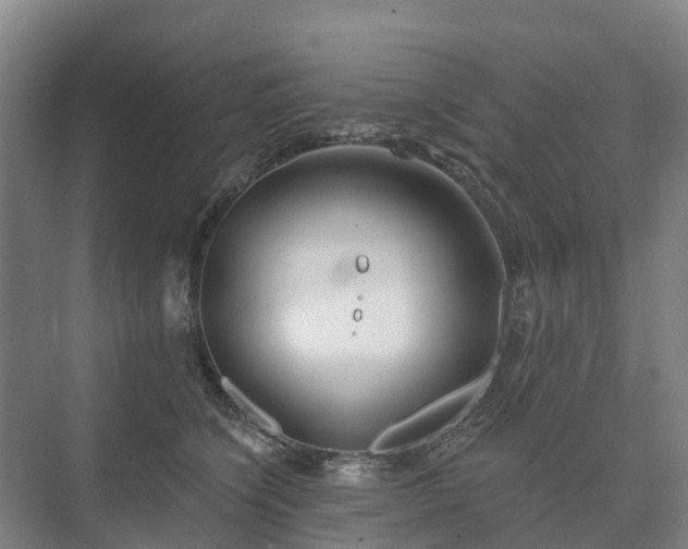 X0000073420564200608041027