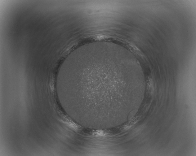 X0000073420565200608041027