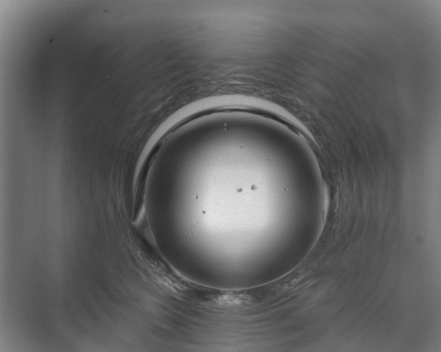 X0000073420566200608041027