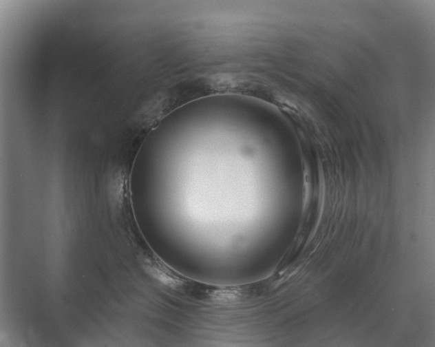 X0000073420574200608041027