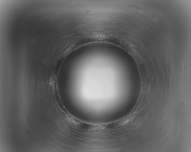 X0000073420576200608041027