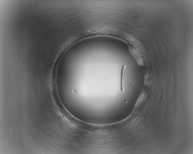 X0000073420578200608041027