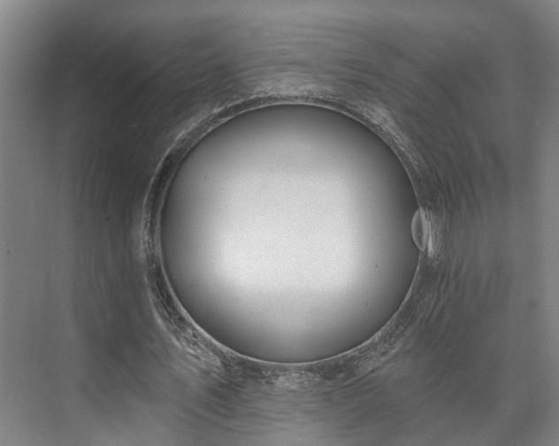 X0000073420579200608041027