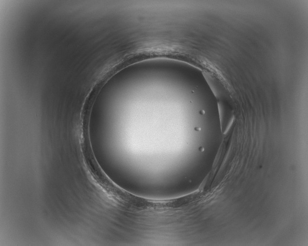 X0000073420582200608041026