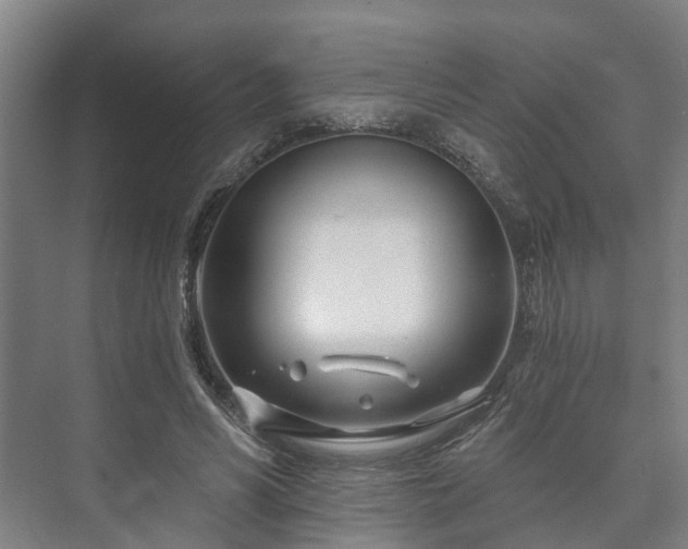 X0000073420590200608041026