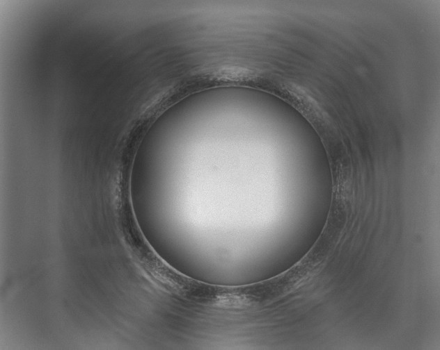 X0000073420591200608041026