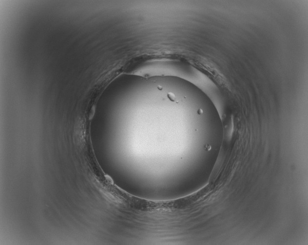 X0000073420593200608041026