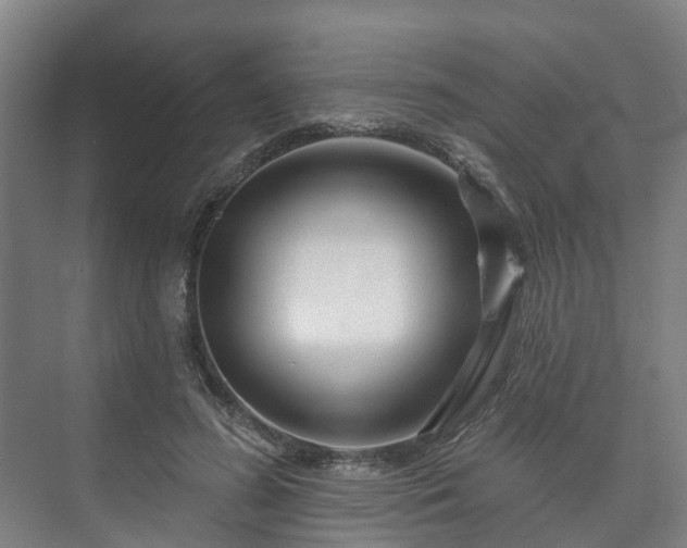 X0000073420596200608041026