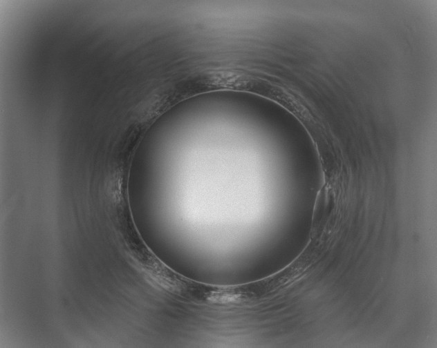 X0000073420602200608041026