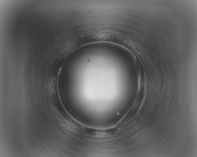 X0000073420605200608041026