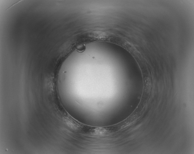 X0000073420612200608041026