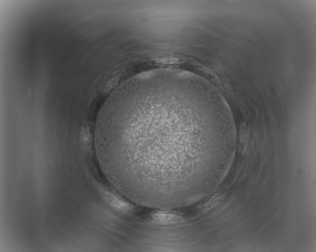 X0000073420614200608041026