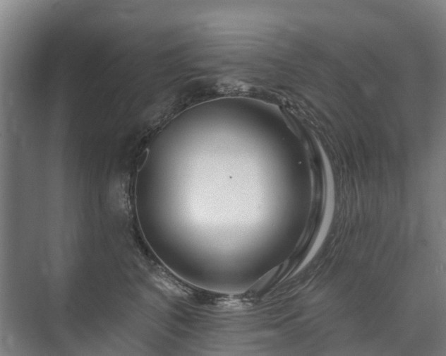 X0000073420616200608041026