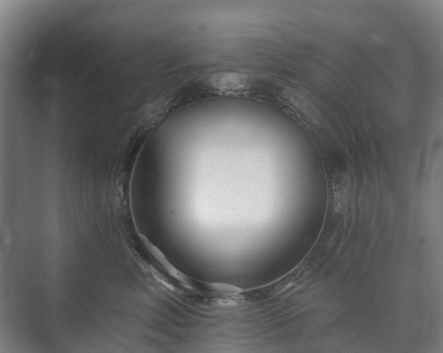 X0000073420618200608041026