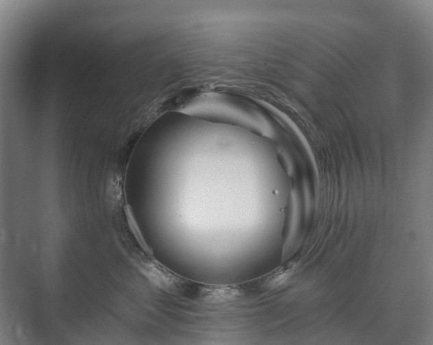 X0000073420621200608041026