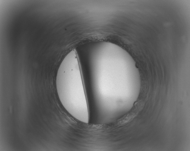 X0000073420624200608041026