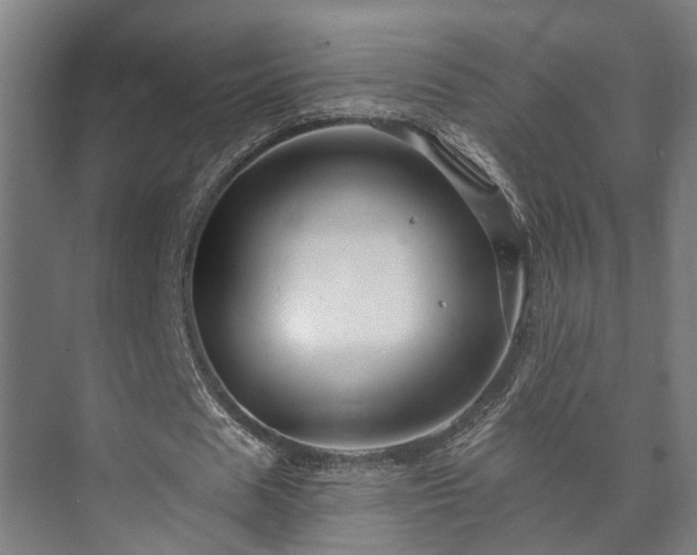 X0000073420625200608041025