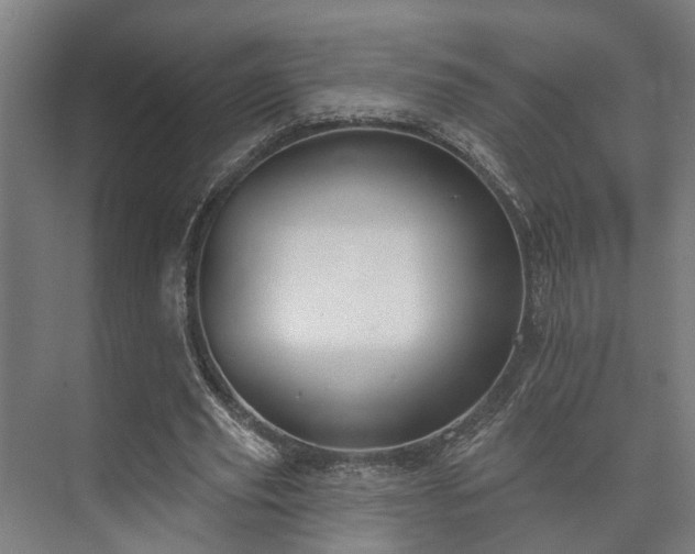 X0000073420629200608041025