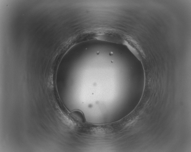 X0000073420633200608041025