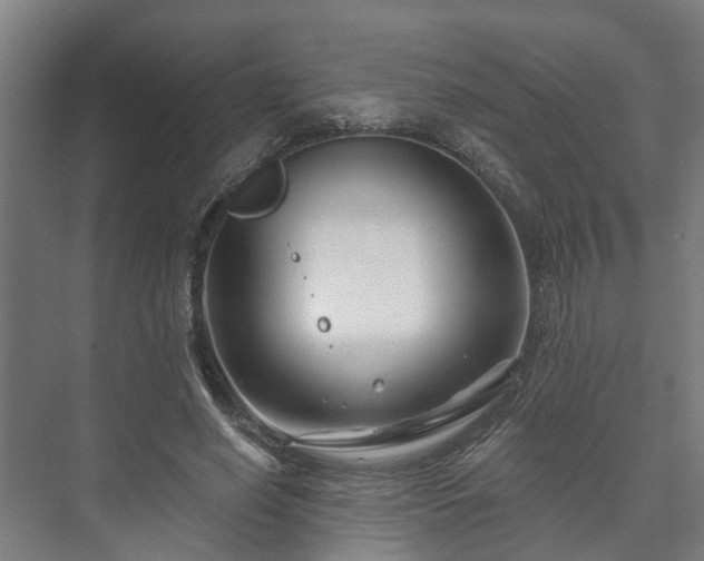 X0000073420638200608041025