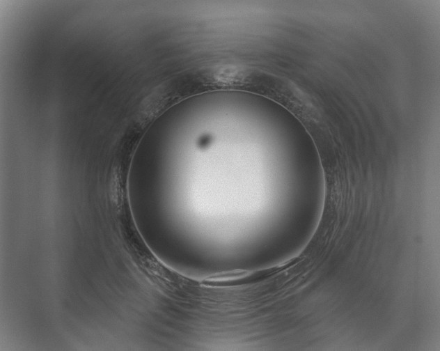 X0000073420651200608041025