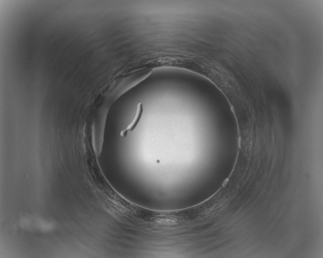 X0000073420653200608041025