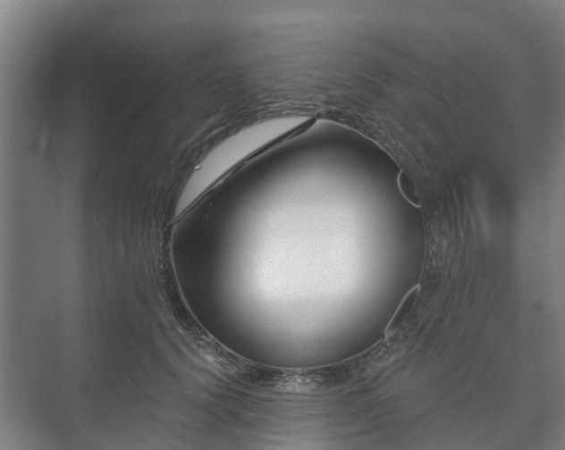 X0000073420656200608041025