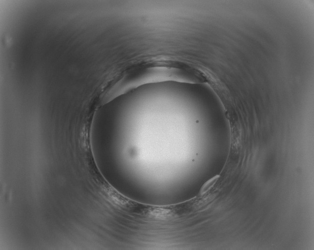 X0000073420669200608041026