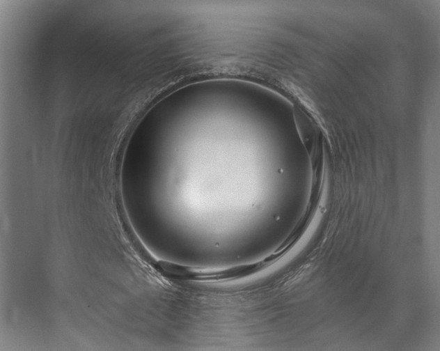 X0000073420673200608041025