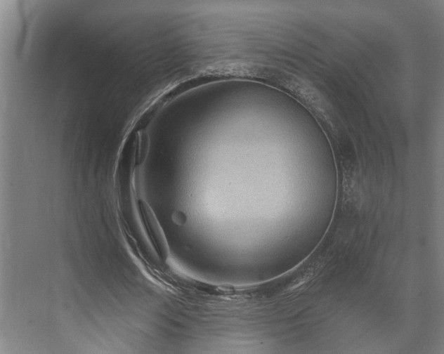 X0000073420674200608041025