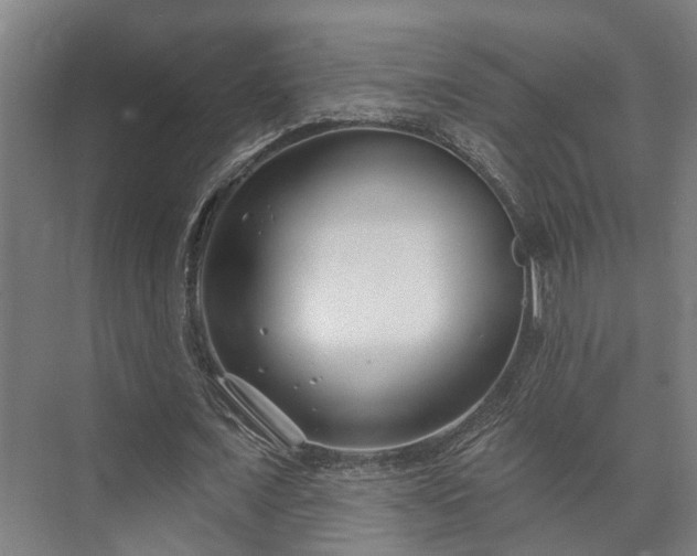 X0000073420675200608041025