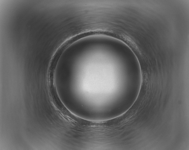 X0000073420676200608041025