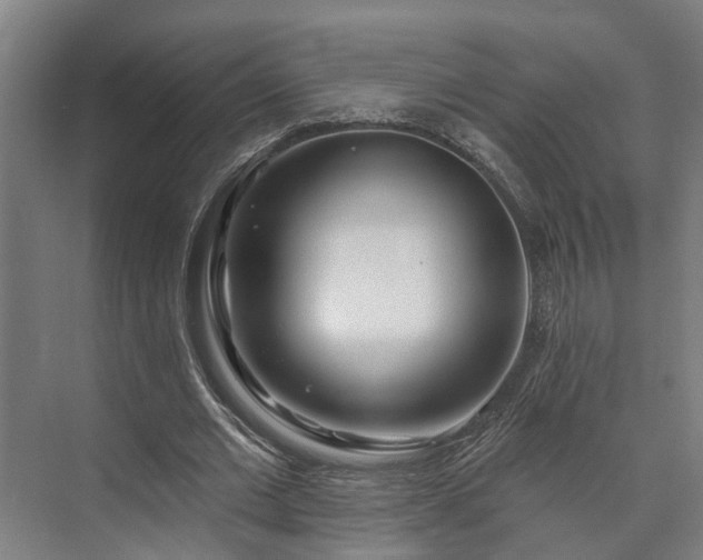 X0000073420677200608041025