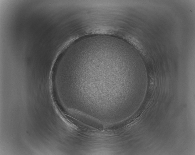 X0000073420678200608041025