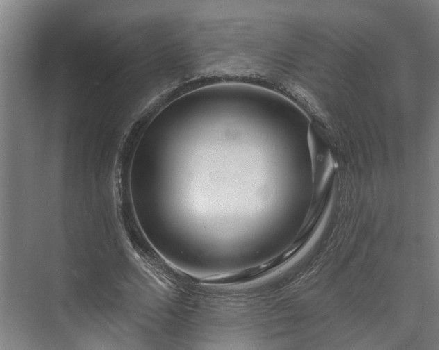 X0000073420680200608041025