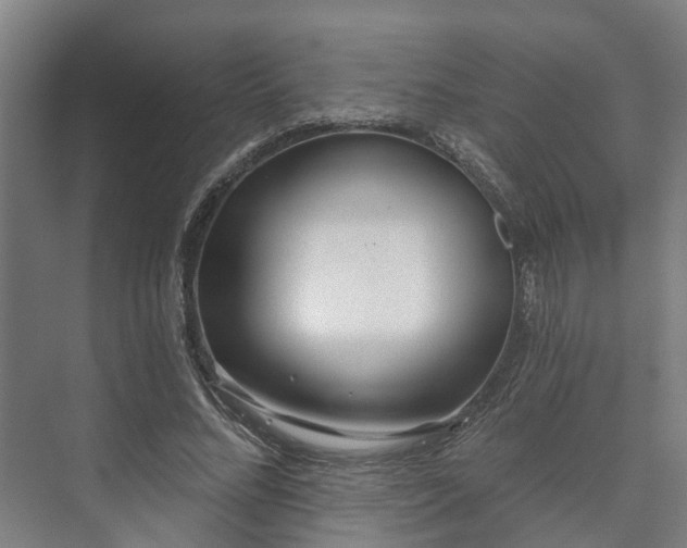 X0000073420684200608041025