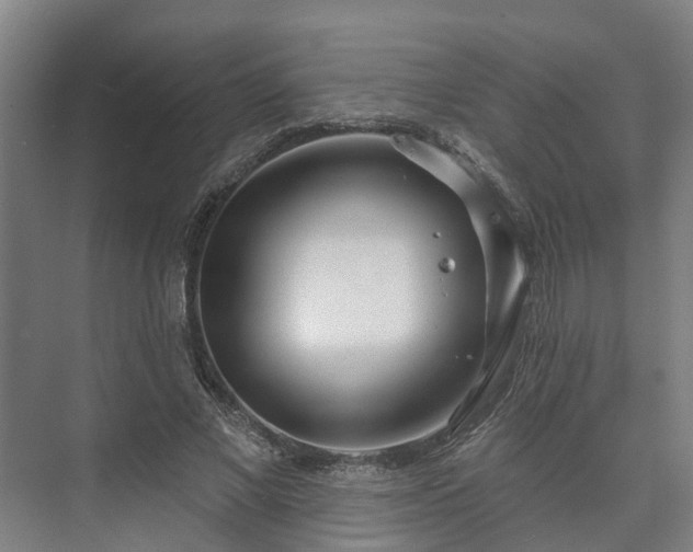 X0000073420685200608041025