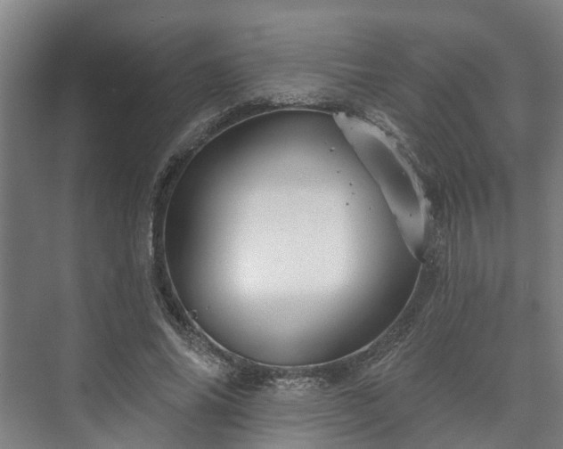 X0000073420686200608041025