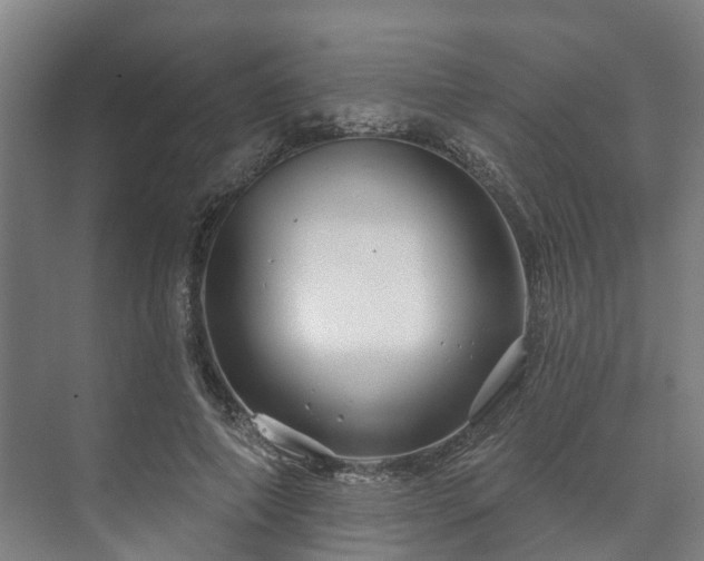 X0000073420690200608041025