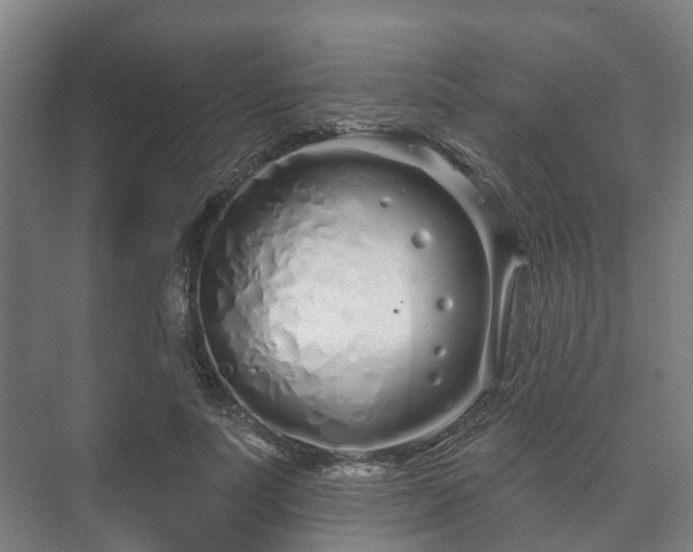 X0000073420691200608041025