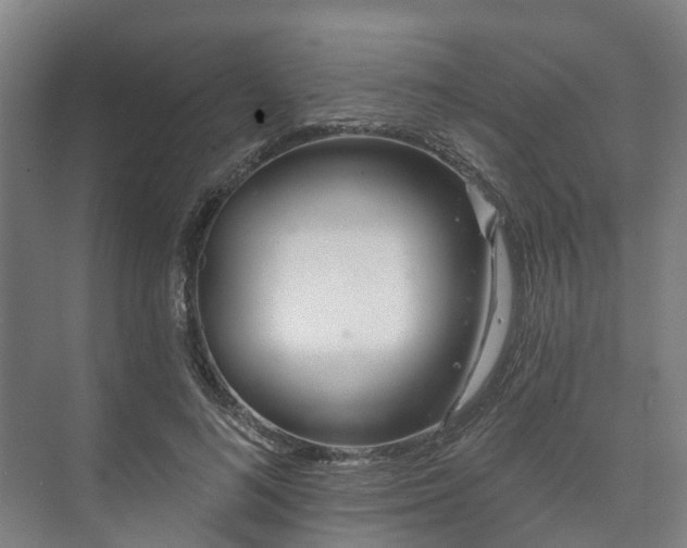 X0000073420692200608041025