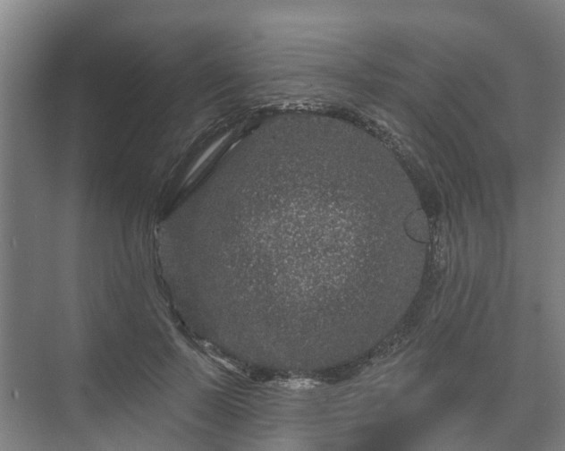 X0000073420695200608041025