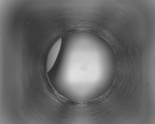 X0000073420696200608041025