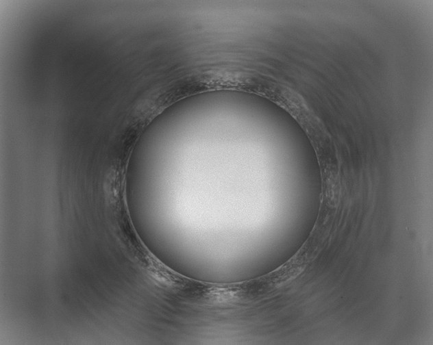 X0000073420701200608041024