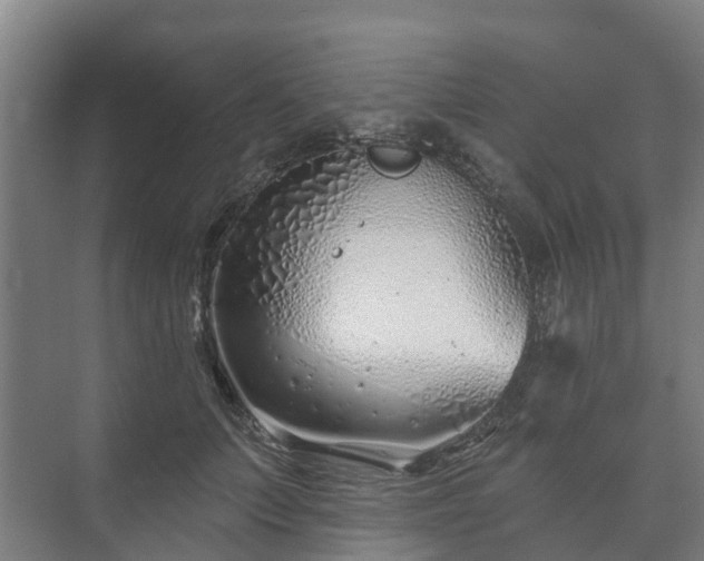 X0000073420703200608041024