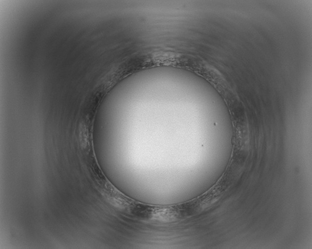 X0000073420705200608041024