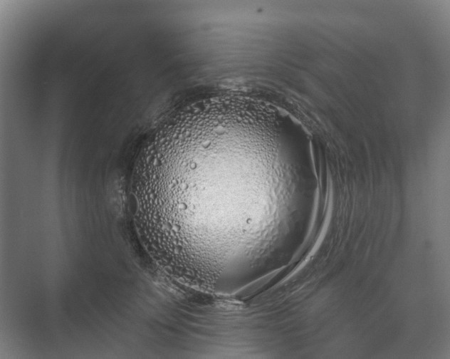 X0000073420707200608041024