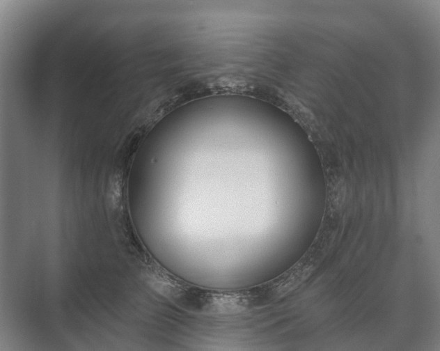 X0000073420709200608041024