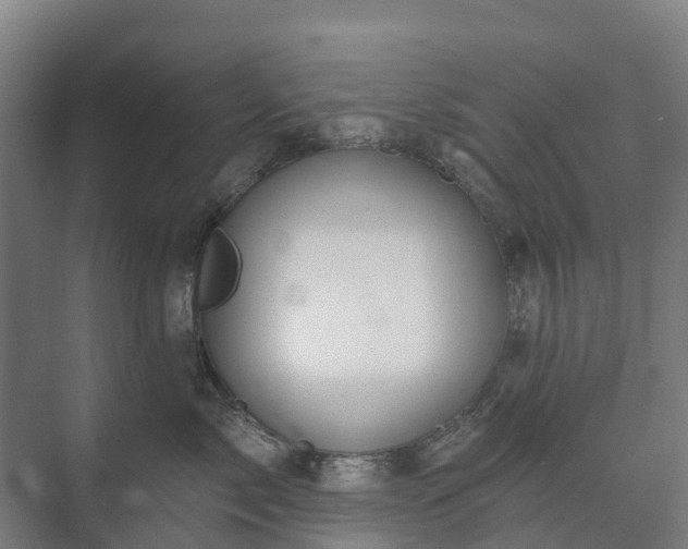 X0000073420717200608041024