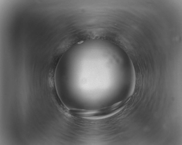 X0000073420719200608041024